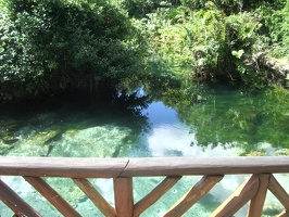 Bridge Over Cenotes